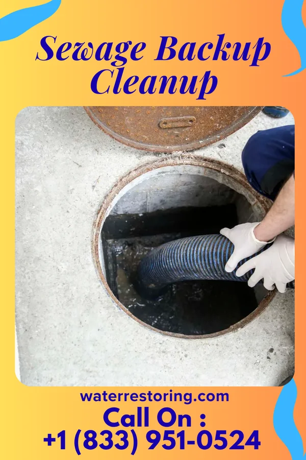 Sewage Backup Cleanup in La Salle, MN